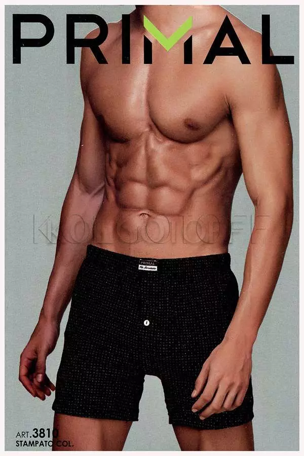 Трусы-боксеры мужские оптом PRIMAL BOXER UOMO ART3810 boxer