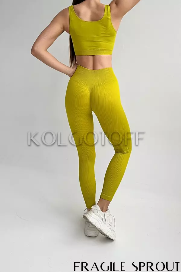 Леггинсы бесшовные в рубчик c пуш-ап оптом GIULIA Leggings RIB push-up