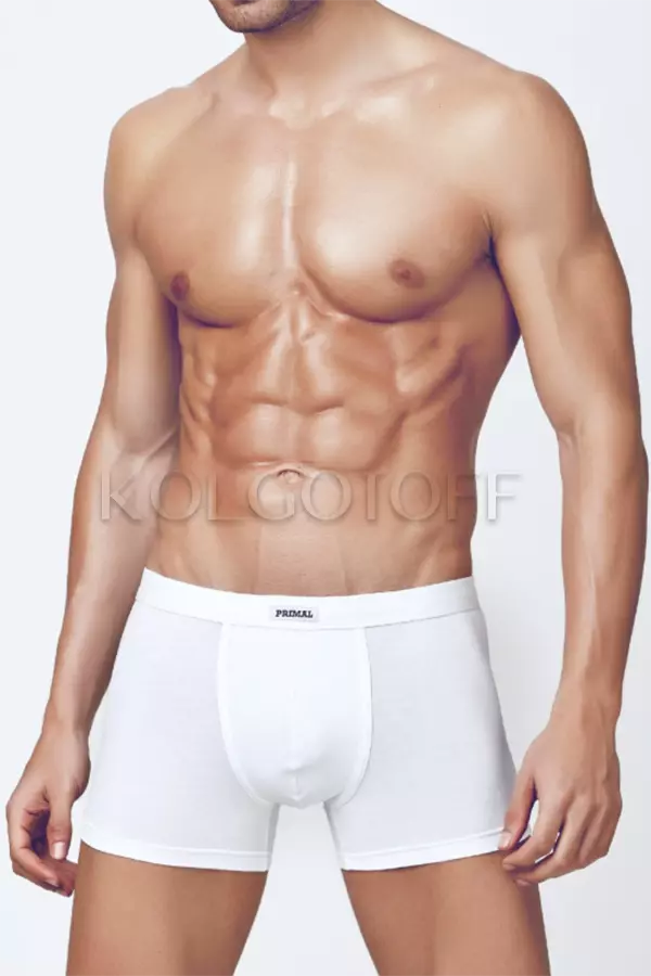 Труси-шорти оптом PRIMAL BOXER UOMO ART3206