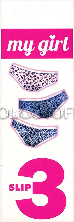 Жіночі бавовняні трусики-сліп в наборі оптом JADEA by Intimo Artu Pamela